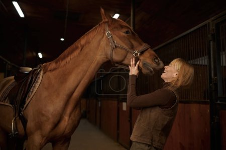 Foto de Mujer feliz riendo mientras el caballo la besa en el establo del club de equitación. Sonriente veterinario hembra o jinete y semental agradecido vista lateral retrato - Imagen libre de derechos