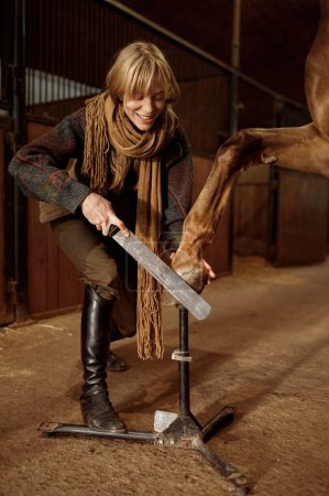 Photo for Female horse owner trimming, filing and shaping young stallion hoof using nippers file and rasp. Taking care of domestic animal in stable - Royalty Free Image