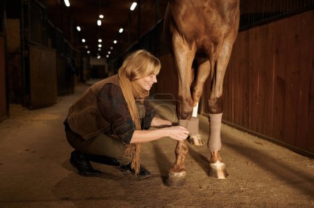 Foto de Propietaria de caballo mujer poniendo vendaje en pierna de animal para prevenir lesiones durante la toma de deporte ecuestre - Imagen libre de derechos