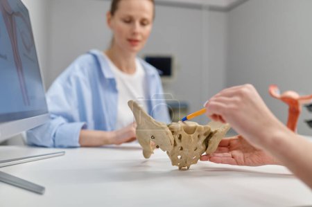 Foto de Primer plano ginecólogo médico que muestra la estructura de la pelvis y el suelo pélvico a la mujer en la cita en la clínica prenatal moderna - Imagen libre de derechos
