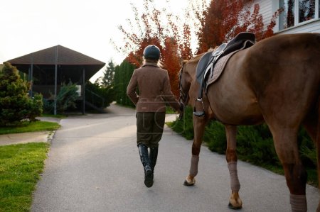 Téléchargez les photos : Vue arrière de femme équestre tenant selle sangle et cheval de marche dans le paddock extérieur. Animaux préférés, passe-temps et l'élevage de chevaux - en image libre de droit