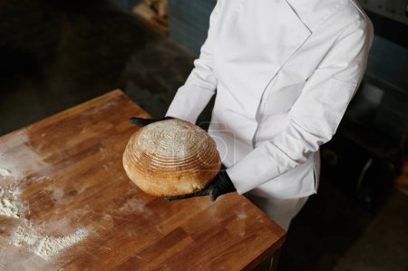 Téléchargez les photos : Vue aérienne sur la main du boulanger dans des gants présentant du pain fraîchement cuit. Travailleur boulanger abattu tenant pain de sarrasin sur table en bois. Concept de boulangerie - en image libre de droit