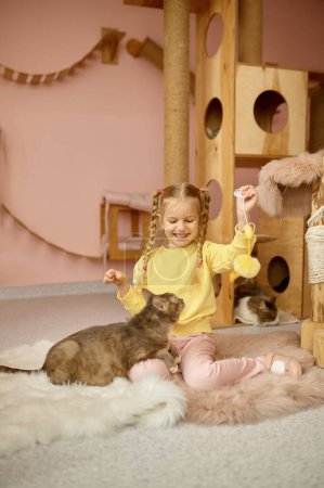 Téléchargez les photos : Jolie fille souriante jouant avec le chat dans un abri pour animaux domestiques. Thérapie pour les enfants avec animaux domestiques - en image libre de droit
