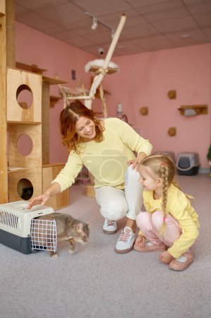 Téléchargez les photos : Portrait de mère montrant à son enfant un nouvel animal de compagnie acheté au refuge pour chats. Famille heureuse adoptant chaton dans la boutique vétérinaire - en image libre de droit