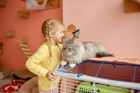 Foto de Niña peinando gruesa piel de gatito mientras pasa tiempo en refugio de animales. Concepto de niños y mascotas - Imagen libre de derechos