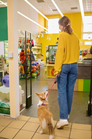 Téléchargez les photos : Vue arrière sur la jeune femme et son chien corgi marchant à l'animalerie. Shopping et soins des animaux domestiques - en image libre de droit