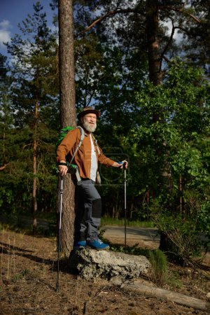 Téléchargez les photos : Homme âgé découvreur repos à l'extérieur après avoir excité errant dans la forêt. Portrait complet d'un voyageur âgé détendu jouissant d'une merveilleuse scène de bois debout sur la pierre - en image libre de droit