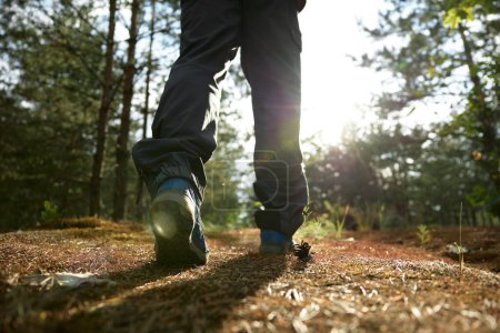 Vista de cerca de las piernas de los excursionistas masculinos que caminan a lo largo de caminos forestales. Estilo de vida saludable en la naturaleza