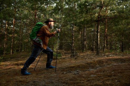 Téléchargez les photos : Homme retraité actif randonnée en forêt. Touriste masculin senior ayant séance d'entraînement marcher sur la nature. Détendez-vous dehors, trekking et aventure pour la retraite pendant les vacances de week-end - en image libre de droit