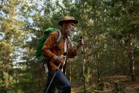 Téléchargez les photos : Homme mûr randonnée et exploration de la forêt nature profiter de l'endurance cardio. Aventure d'entraînement sur le concept de retraite - en image libre de droit