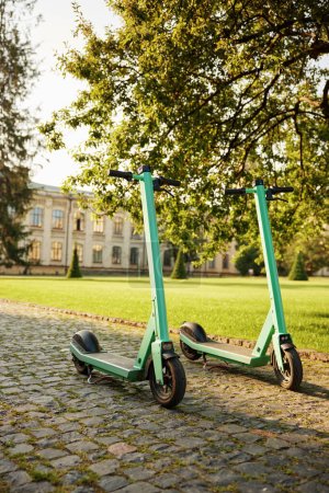 Foto de Vehículos de scooter eléctrico ecológicos estacionados en el campus universitario. Transporte ecológico para desplazamientos, recreación activa y estilo de vida saludable - Imagen libre de derechos