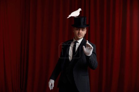 Foto de Hombre mago realizar truco con hermoso pájaro paloma blanca mostrando sus habilidades mágicas de pie sobre la cortina roja de teatro dramático escenario - Imagen libre de derechos