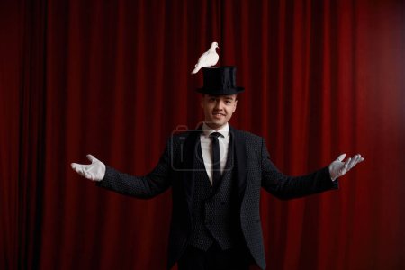 Téléchargez les photos : Homme magicien exécution tour avec belle colombe blanche oiseau mettant en valeur ses compétences magiques debout sur le rideau rouge de théâtre dramatique - en image libre de droit