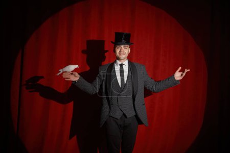 Téléchargez les photos : Portrait de magicien élégant performer avec pigeon oiseau debout sur draperie rouge dans l'éclairage des projecteurs. Tours de magie et spectacle d'illusion miracle - en image libre de droit