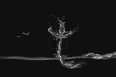 Photo for White and Black Water Cross and Birds - Royalty Free Image