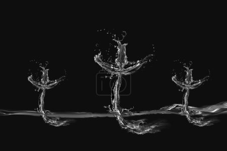 Photo for Three Black and White Water Crosses - Royalty Free Image