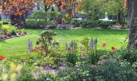 Foto de Hermoso jardín público con bonitas flores de primavera que rodean un césped y forrado con arbusto - Imagen libre de derechos