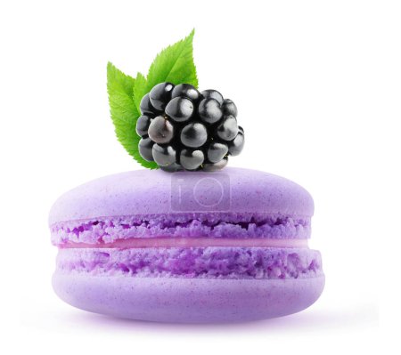 Foto de Pink macaroon with creme and blackberry on top, side view isolated on white background - Imagen libre de derechos