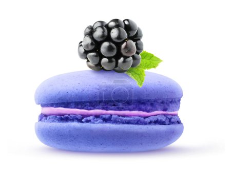 Foto de One blackberry macaroon with pink creme and fruit on top isolated on white background - Imagen libre de derechos