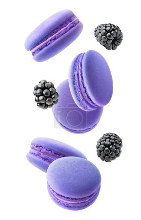 Photo for Blue macaroons and blackberries levitation, vertical isolated on white background - Royalty Free Image