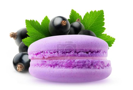 Photo for Close-up of one pink macaroon in front of black currants, isolated on white background - Royalty Free Image