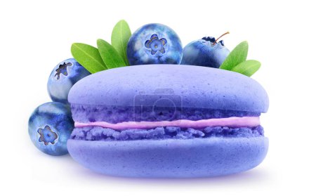 Photo for One blueberry flavored macaroon in front of pile of blueberries, isolated on white background - Royalty Free Image