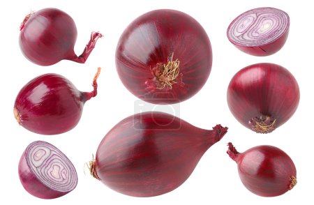 Foto de Colección de cebollas rojas aisladas sobre fondo blanco - Imagen libre de derechos