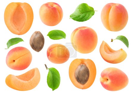 Téléchargez les photos : Collection de fruits d'abricot crus, avec morceaux, feuilles et grains isolés sur fond blanc - en image libre de droit