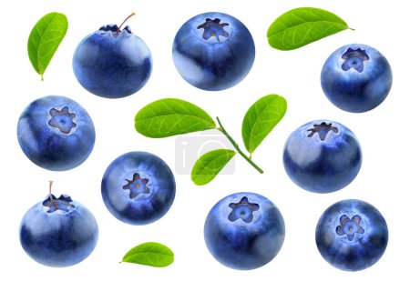 Photo for Isolated collection of blueberry fruits with leaves isolated on white background - Royalty Free Image
