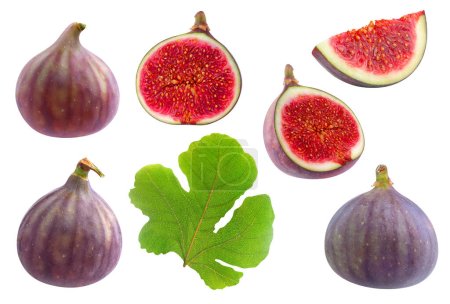 Photo for Collection of whole and cut figs isolated on white background - Royalty Free Image