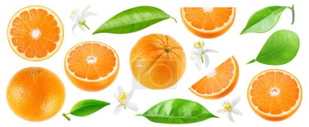 Foto de Colección de frutas, hojas y flores anaranjadas cortadas aisladas sobre fondo blanco - Imagen libre de derechos