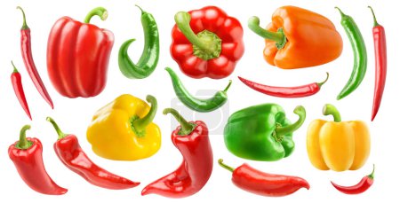 Photo for Various species of peppers, collection isolated on white background - Royalty Free Image