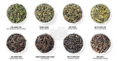 Téléchargez les photos : Collection de thés oolong chinois, feuilles séchées en vrac dans des bols, vue de dessus isolée sur blanc - en image libre de droit
