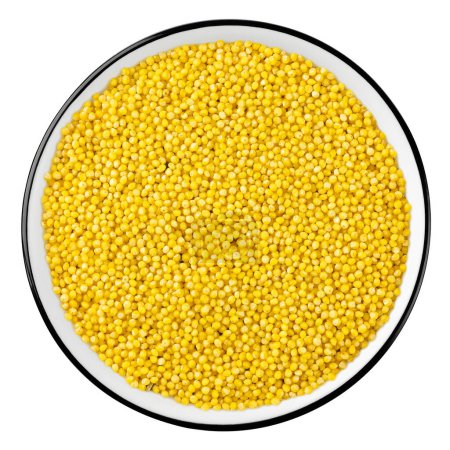 Foto de Vista superior de granos de mijo amarillo crudo en tazón aislado sobre fondo blanco - Imagen libre de derechos