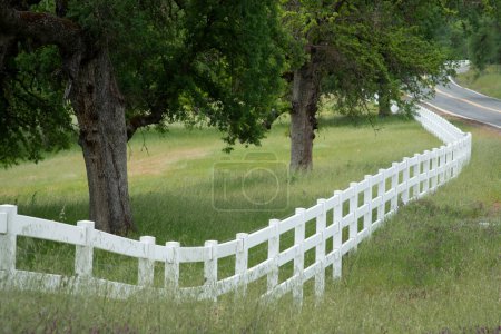 Photo for White picket fence in grassy meadow with Oak trees - Royalty Free Image
