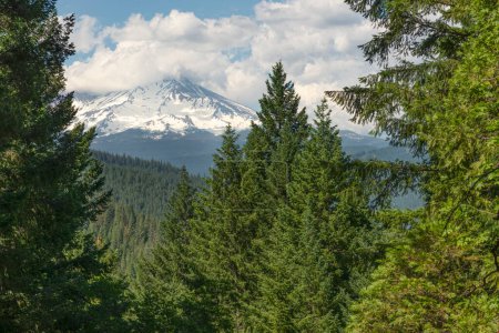 Photo for View of Mount Shasta taken from Castle Crags State Park - Royalty Free Image