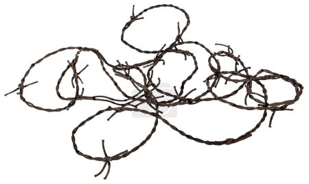 Photo for A coil of barbed wire used to contain an area - Royalty Free Image