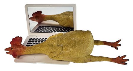 Photo for Rubber chicken on computer showing online jokes - Royalty Free Image