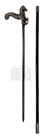 Photo for A horse sword hidden inside a horse cane - Royalty Free Image