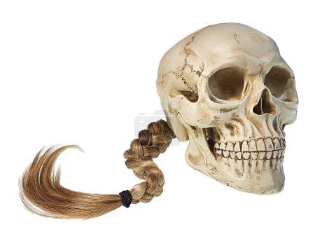 Human skull wearing a long brown braid