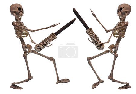 Skeletons thrusting and fighting with skull daggers