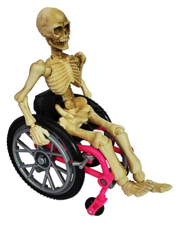 Skelett im Rollstuhl gibt Hinweis auf den Kreislauf des Lebens