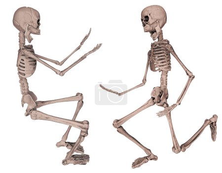 Skeletons dancing together with music