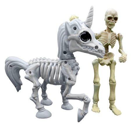 A unicorn skeleton standing with a human skeleton