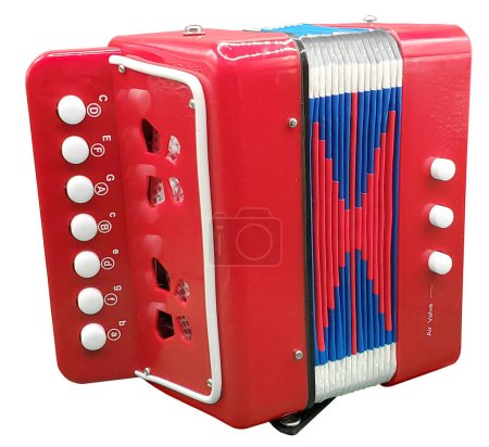 Learner's small accordian for learning to play