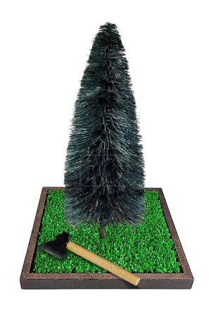 A tree growing on a patch of green grass with an axe