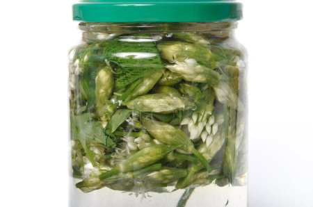 Photo for Wild garlic flower bud in lacto fermented - Royalty Free Image