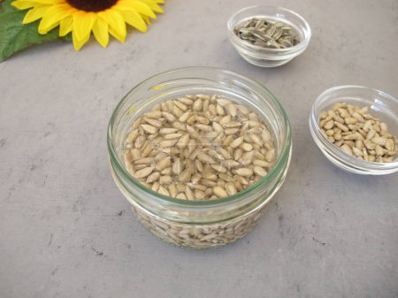 Photo for Soaked sunflower seeds, seeds from sunflowers in water - Royalty Free Image