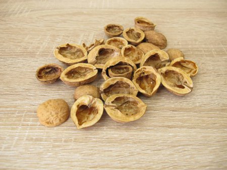 Craft material for crafting: halved walnut shells