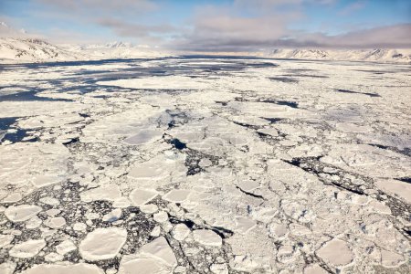 Téléchargez les photos : Vue aérienne de la côte et des champs de glace dans l'est du Groenland - en image libre de droit